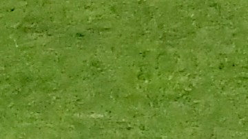 Raúl 'Dedos' López celebrando el gol de Toluca en la final ante Pachuca.