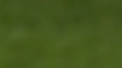 Pachuca ganó también en el Clausura 2006.
