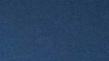 Guillermo Almada celebra junto a su familia haber ganado el Apertura 2022 de la Liga MX con el Pachuca.