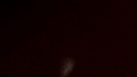 Aficionados del Pachuca durante la final del Torneo Apertura 2022 de la Liga MX ante Toluca en el Estadio Hidalgo.