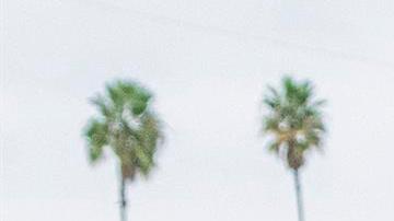 Javier Chicharito Hernández #14 del L.A. Galaxy celebra con aficionados un gol de Julián Araujo.
