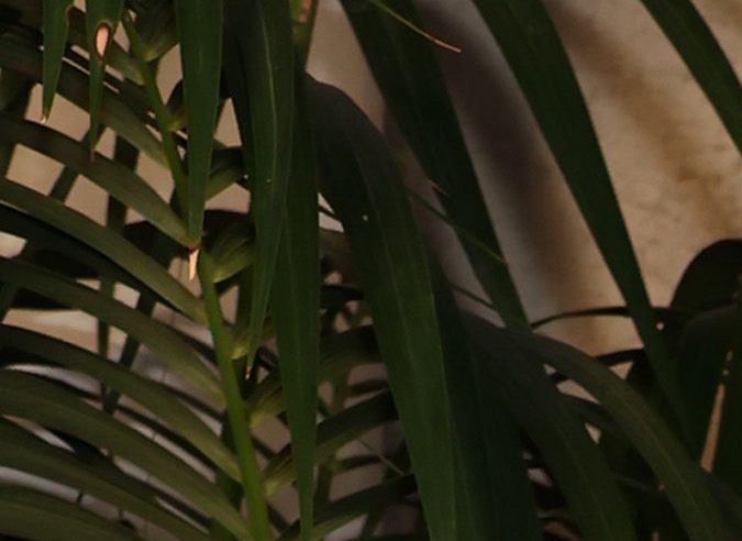 Jennifer Lopez y Ben Affleck en el desfile de Ralph Lauren en Los Ángeles.