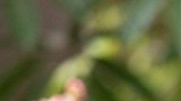 José González es el actual vicealcalde de Cudahy.