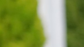 La congresista demócrata Karen Bass prestará juramento como  alcaldesa de Los Ángeles en diciembre. (cortesía)