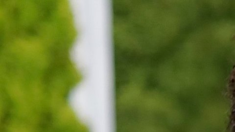 La congresista demócrata Karen Bass prestará juramento como  alcaldesa de Los Ángeles en diciembre. (cortesía)