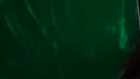 Karol G y Ozuna se besaron hace tiempo y él lo recordó.