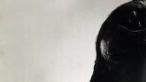 Lola Beltrán es considerada un ícono de la canción ranchera