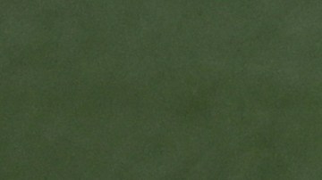 Los San Diego Padres celebran la primera victoria contra los Mets en la serie de comodín.