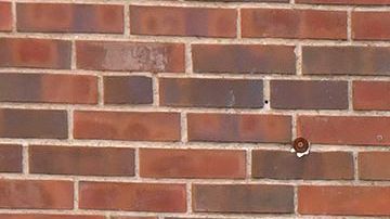 Maestra de secundaria de St. Louis murió al proteger a sus alumnos interponiéndose frente al tirador