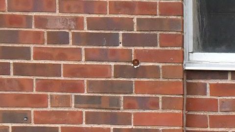 Maestra de secundaria de St. Louis murió al proteger a sus alumnos interponiéndose frente al tirador