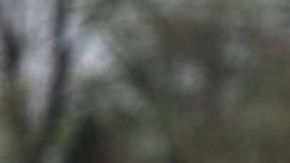 Mamá comparte los requisitos que deben cumplir novios de sus hijas (VIDEO)