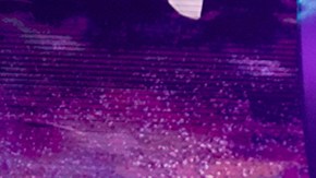 Miguel Martínez baila por su abuelita que padece de Alzheimer