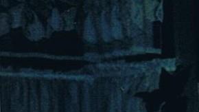 La madre de Primitivo Castro, (der) celebrando el Día de las Madres. (Suministrada)