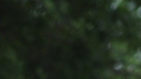 Mujer de Iowa asegura que su difunto padre era un asesino serial despiadado que mató a casi 70 mujeres