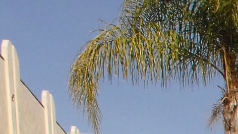 Mujer de LA sufre lesión cerebral después de que un vagabundo le incrustó unas tijeras de jardín en el cráneo