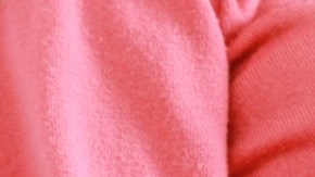 Virus de Oropuche se puede transmitir de madre a feto