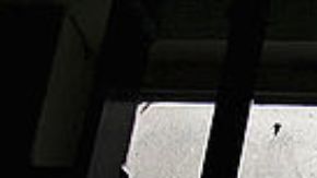 Mujer sobrevive de milagro después de que visitó a reo peligroso por amor