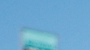 Natti Natasha corre en NASCAR.