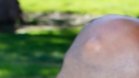 Ruby Navarro se postula para candidata de South Gate. (Suministrada)