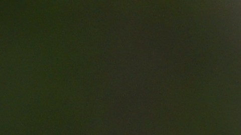 Néstor Pitana se despidió de su carrera como árbitro profesional.