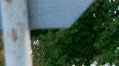 Niña de cinco años atada y sujetada del cuello con collar eléctrico de perros en casa de los horrores en Portland