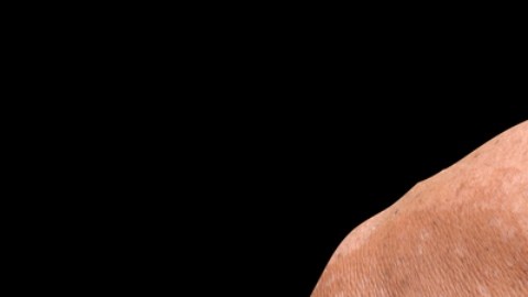 OMS publica una lista de hongos que podrían ser una “amenaza” para la humanidad