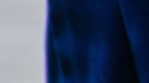 Oficial K-9 identifica 80 kilogramos de cocaína por valor de unos $25 millones de dólares en Arcadia