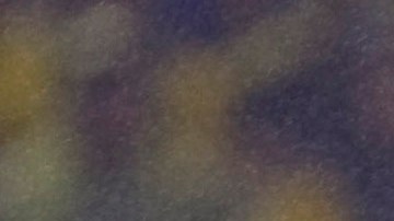 Oswaldo Sánchez uniformado con los colores del Santos Laguna.