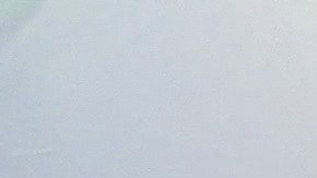 Protestantes a unos pies de distancia de la casa de Kevin de León. (Jacqueline García/La Opinión)