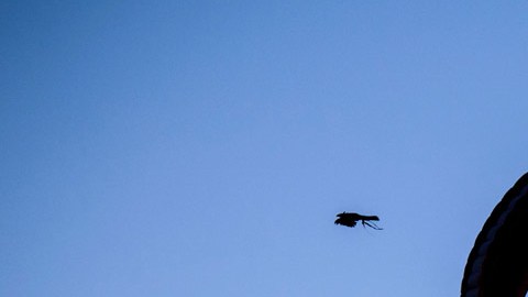 El paracaídas en que tanto confiaba le jugó una mala trastada