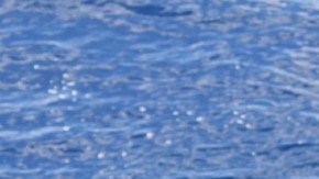 Persecución marítima