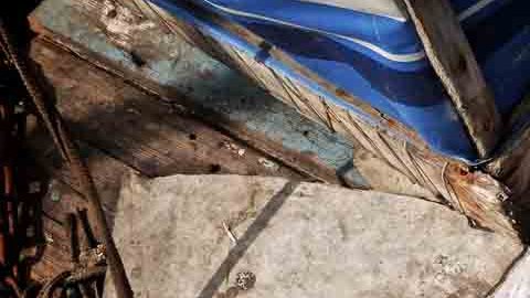 Los peces adulterados fueron incautados como evidencia