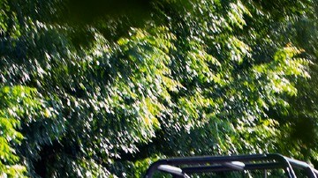 Policía de Michoacán