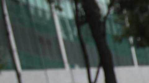 Se busca el voto latino entre fiestas de XV años en Texas