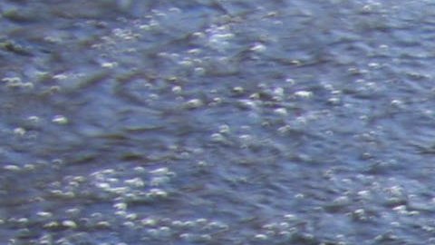 Restos humanos que sobresalen de un río hallados durante la busqueda de ciclistas desaparecidos en Oklahoma