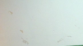 Revisión en colegio mexicano