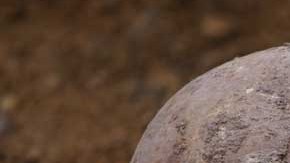 Se desconoce dónde se encuentran los restos de San Nicolás