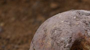 Se desconoce dónde se encuentran los restos de San Nicolás