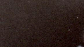 Selena Quintanilla & Lorena Herrera