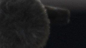 Sergio Pérez (i) y Max Verstappen (d) pilotos de Red Bull Racing de Fórmula 1.