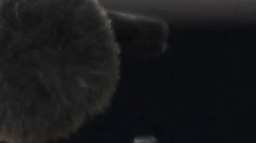 Sergio Pérez (i) y Max Verstappen (d) pilotos de Red Bull Racing de Fórmula 1.