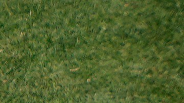 Shohei Ohtani compite por el MVP de la Liga Americana.