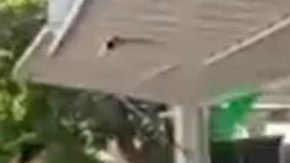 Simulacro de balacera