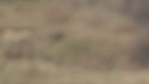 Soldados rusos movilizados mueren en masa después de ir a la guerra sin entrenamiento