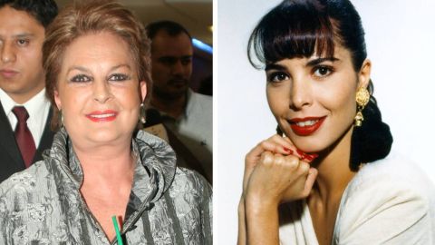Talina Fernández llevó las cenizas de Mariana Levy al bosque.
