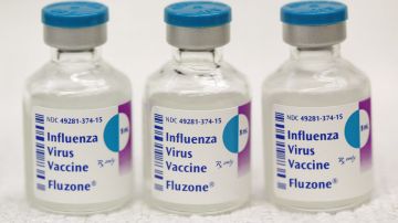Temporada de influenza en EE.UU. se presenta como las más severa en los últimos 13 años