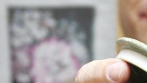No se encuentra lógica al hecho de robar unas cenizas