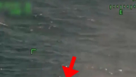 VIDEO: Guardacostas rescata a 3 pescadores que luchaban contra tiburones en el Golfo de México