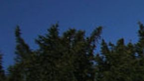 VIDEO Hombre cuenta sus experiencias de vivir junto a un panteón