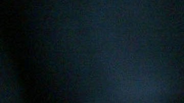 VIDEO Mujer ataca a pasajera en pleno vuelo cuando le pidieran que quitara a su perro de su regazo